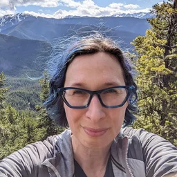 Stacey Higginbotham